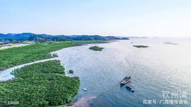 位于中国美丽的内海海景房,你会不会很向往?_茅尾海_配套_项目