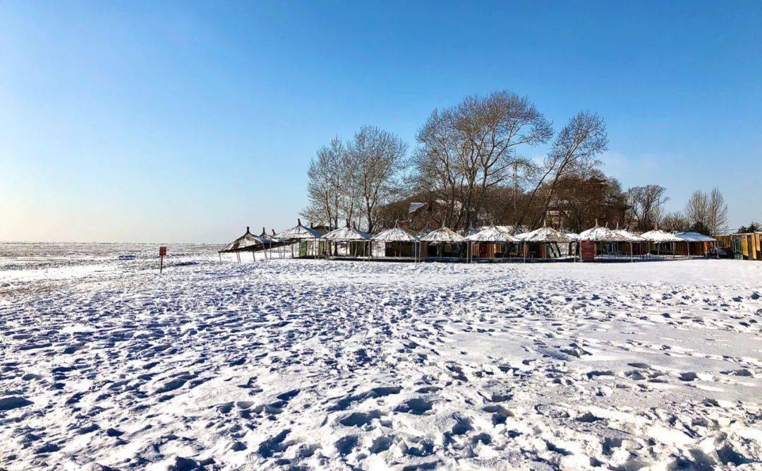 冰雪行记|冬天,就该去东北_雪乡_海林_丹东
