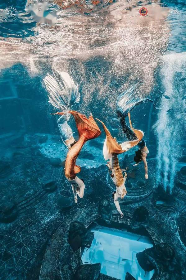 首届中国美人鱼表演赛圆满收官开启美人鱼运动新时代