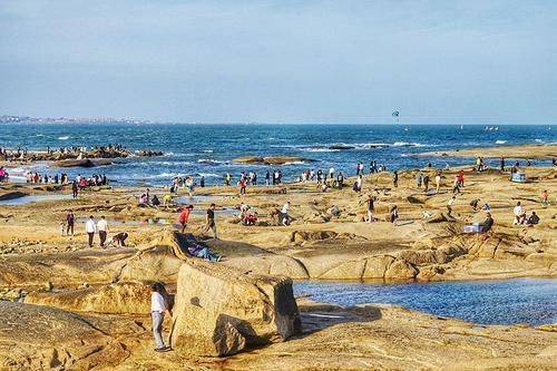 山東日照旅遊攻略日照趕海吃海鮮逛美食街看日出