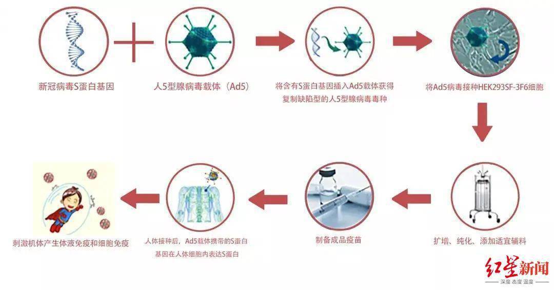 接种|中国首款“只打一针”新冠疫苗即将上市！《柳叶刀》：重症保护率高达96%