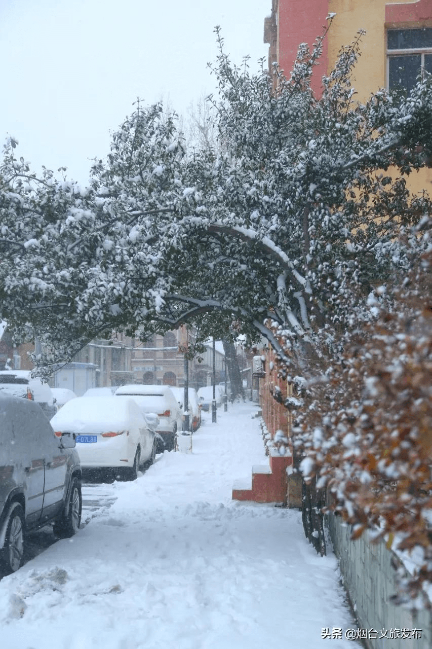 雪花|琼瑶匝地！“雪窝烟台”盛装亮相