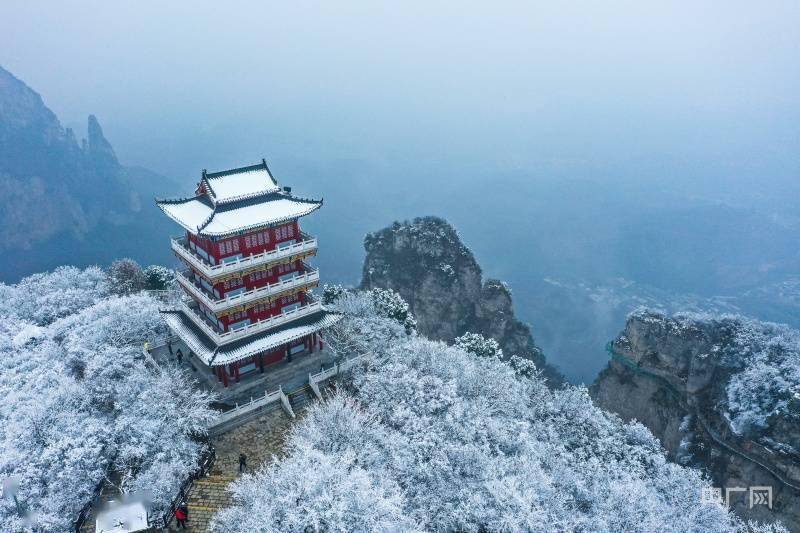 非法|河南云台山雪景冰瀑“同框” 上线冬季限定美景