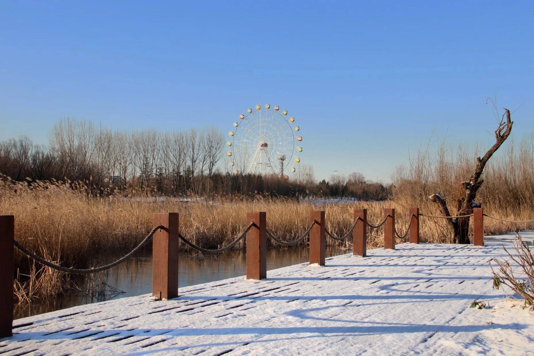 雪冬的白浪河湿地公园冷静之美