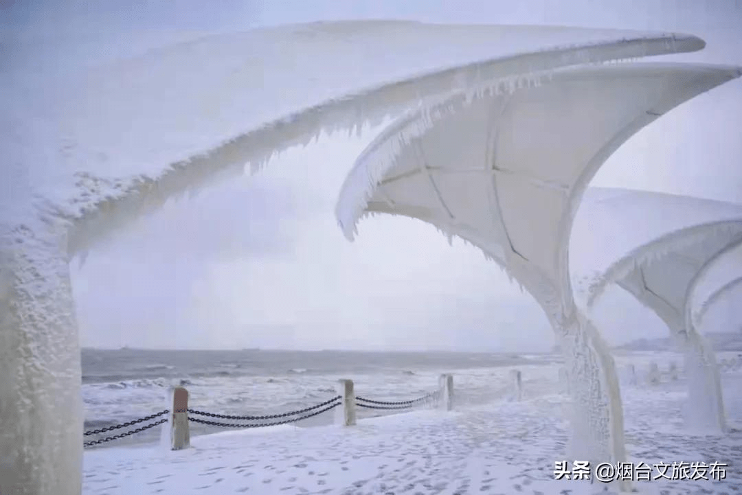 雪花|琼瑶匝地！“雪窝烟台”盛装亮相