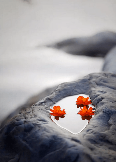 尘世浮华,似水流年;心若磐石,过眼云烟_欢欢_安全感_俗人