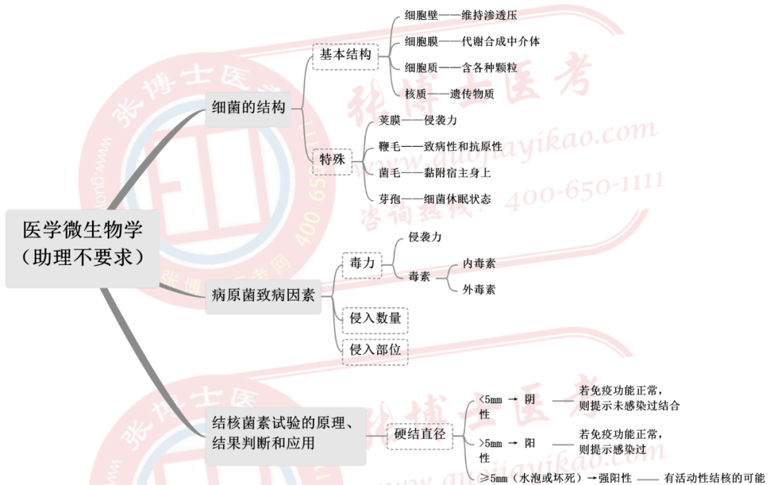 思維導圖醫學免疫學和醫學微生物學