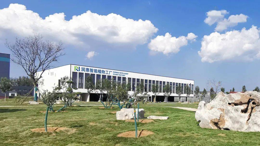 润惠智能植物工厂_种植_蔬菜_runhui