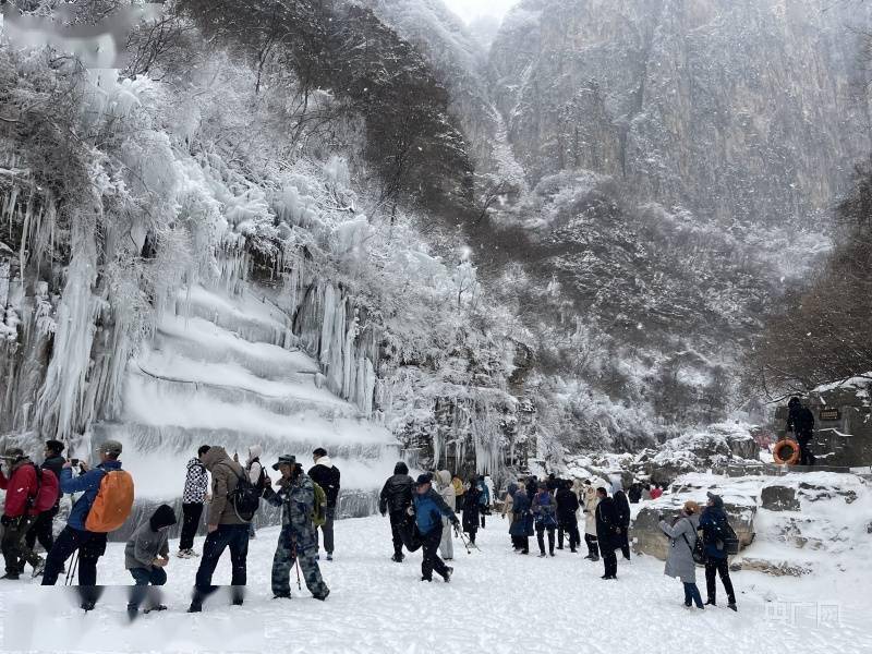 游客|河南云台山雪景冰瀑“同框” 上线冬季限定美景