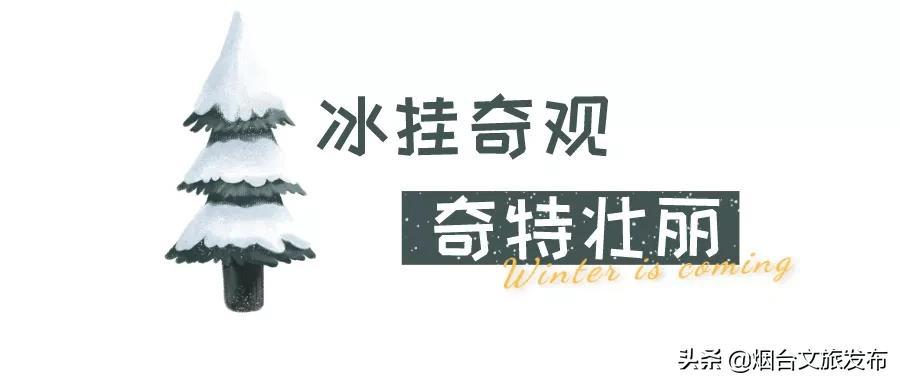 雪花|琼瑶匝地！“雪窝烟台”盛装亮相