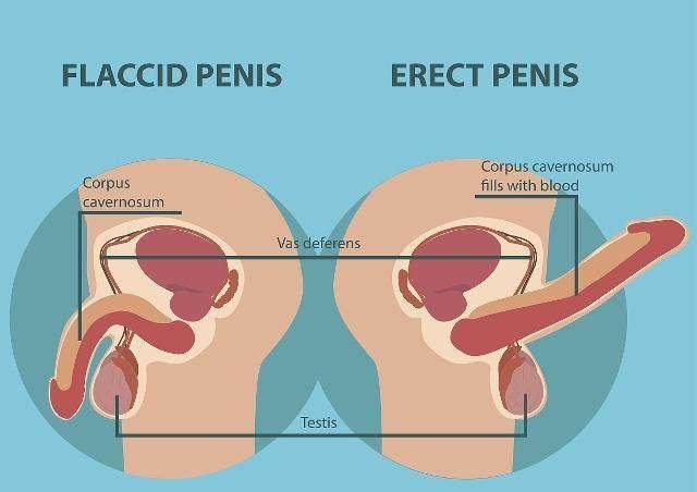 生活_前列腺_身体