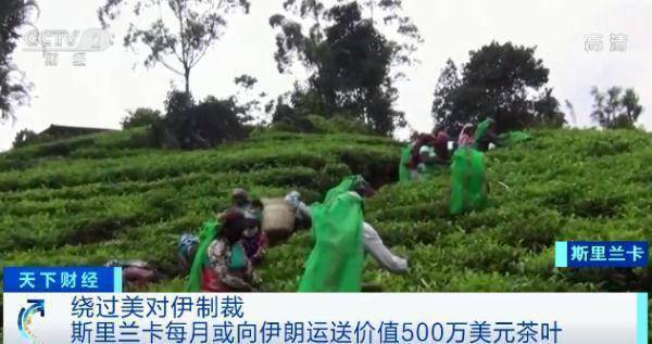 沒有錢，「分期付茶」還債？！伊朗同意了！16億元石油債務，這個國家用茶葉還 國際 第3張