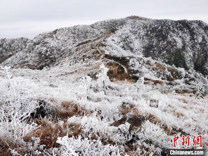 白云山|福建宁德世界地质公园现雾凇冰挂 银装素裹引游人