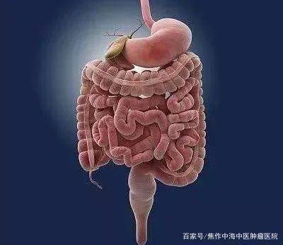 这样的大便,可能预示着大肠癌上身!_检查_症状_恶性肿瘤