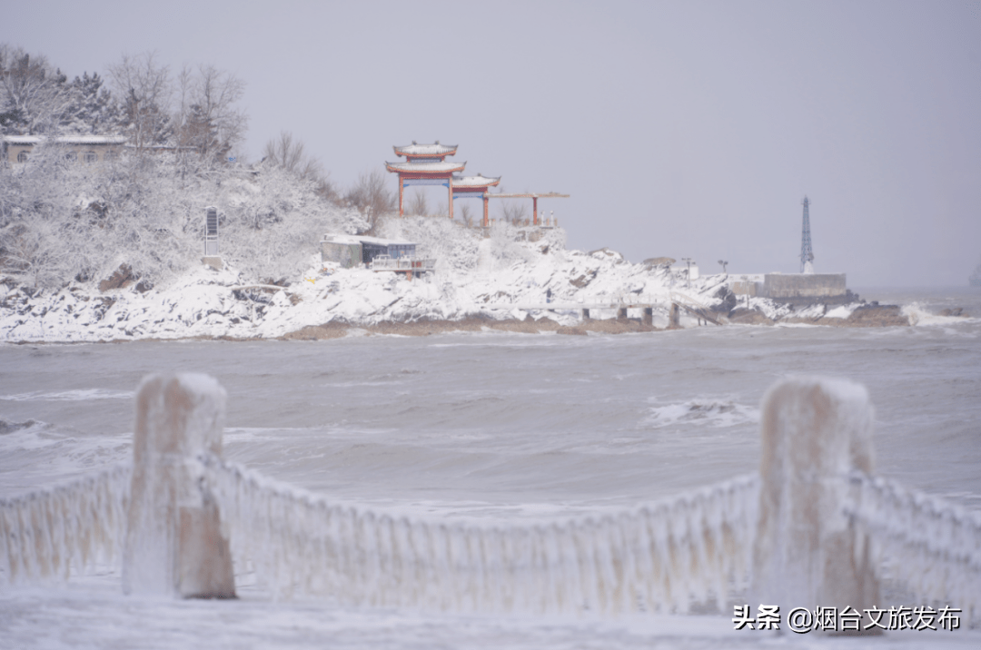 蓬莱|“雪窝”烟台变妆照，惊艳了全国！珍藏！