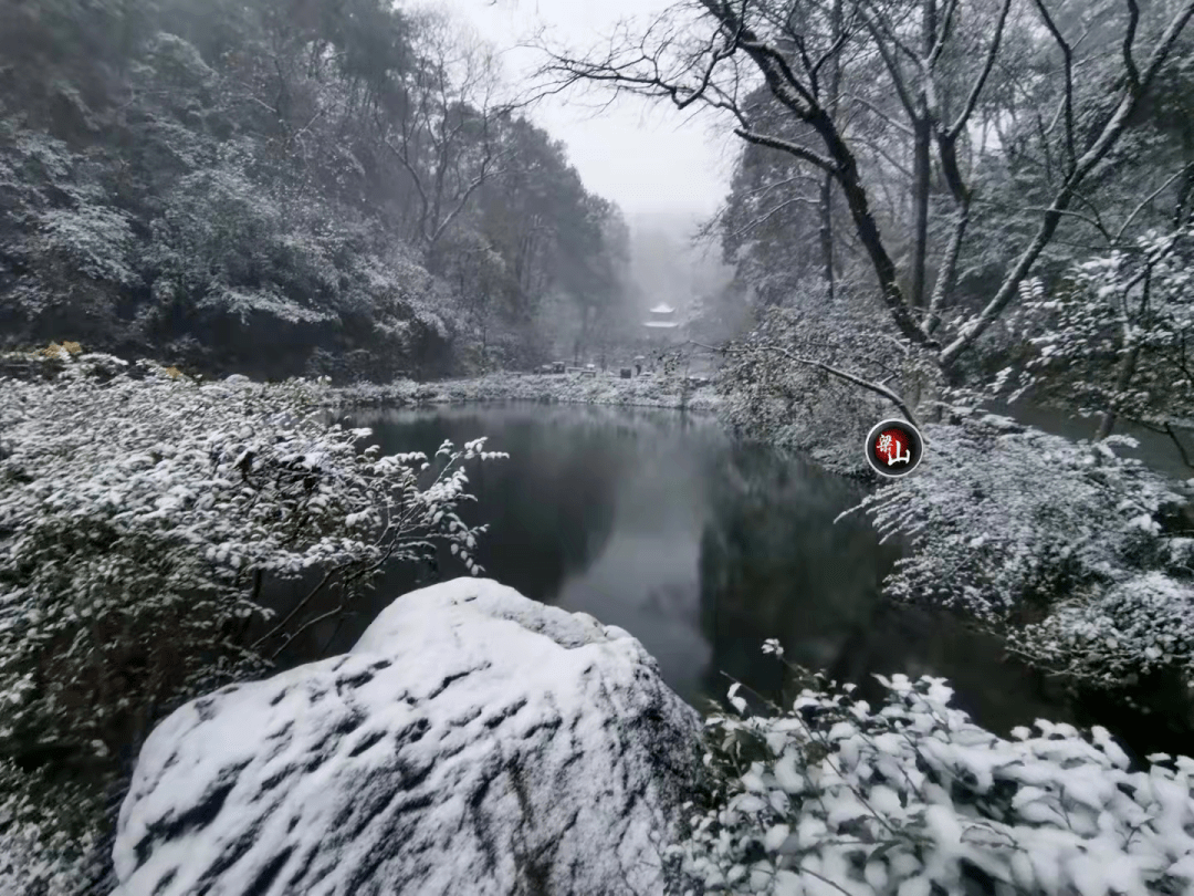 天气丨长沙下雪啦!快出来玩雪喽!