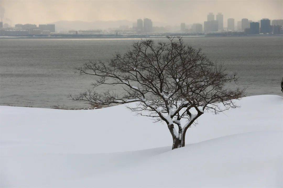 穿越|当刘公岛遇上雪，浪漫便穿越了百年