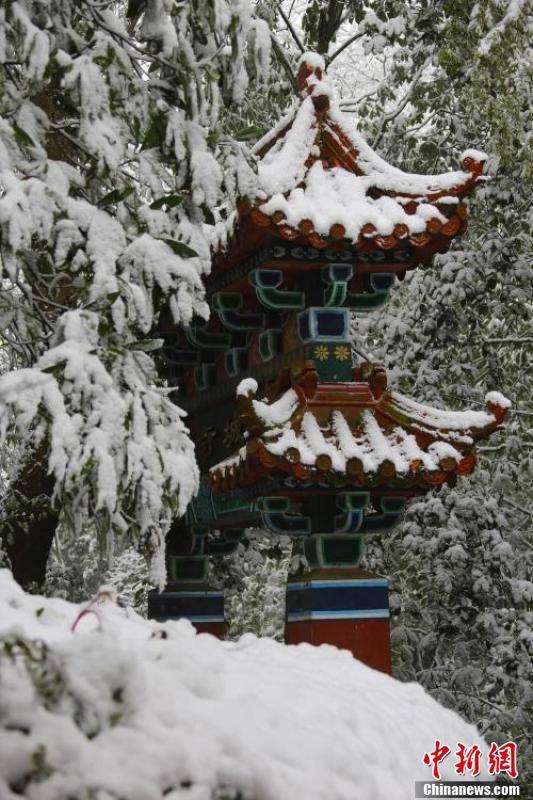 小峨眉|四川多地迎来首场降雪 南充金城山景区满山银装素裹