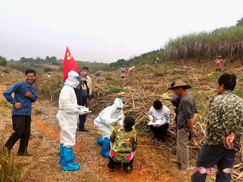 医务人员深入田间地头为群众进行核酸检测