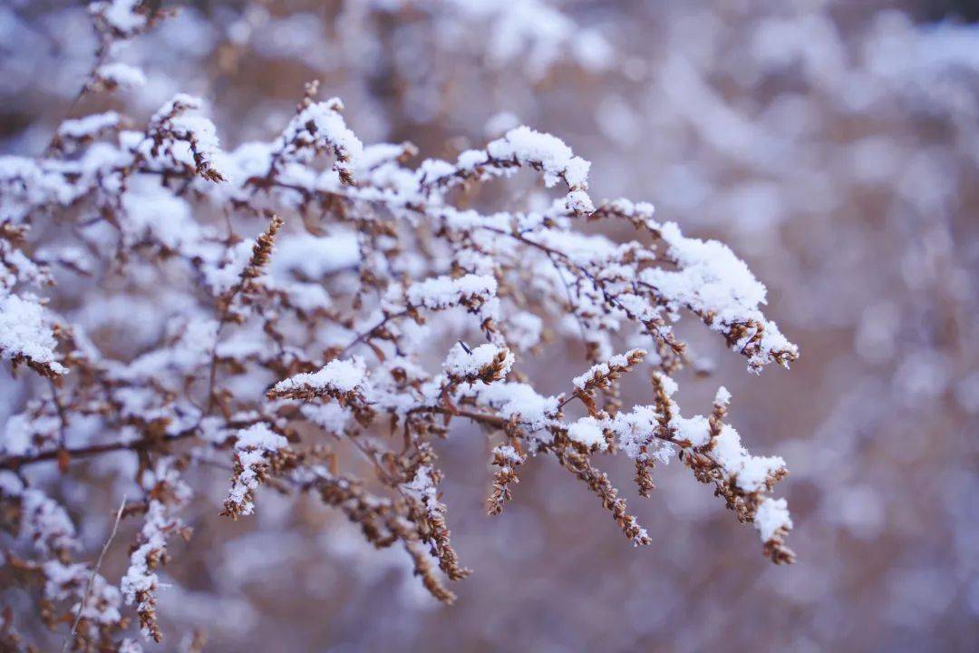 泸沽湖下雪啦天地初飘雪人间共白头