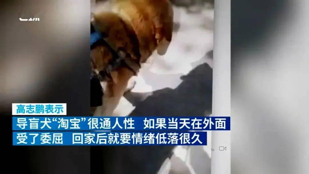 测评这女人太硬核了！拿命测评，专爆黑料，尺度真是万万没想到……