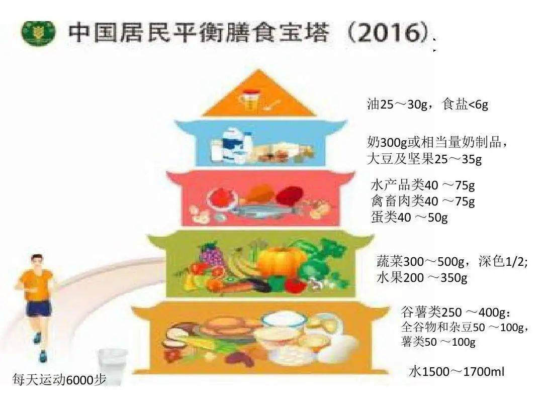 饮食|营养素是健康保障，但真的越多越好吗？