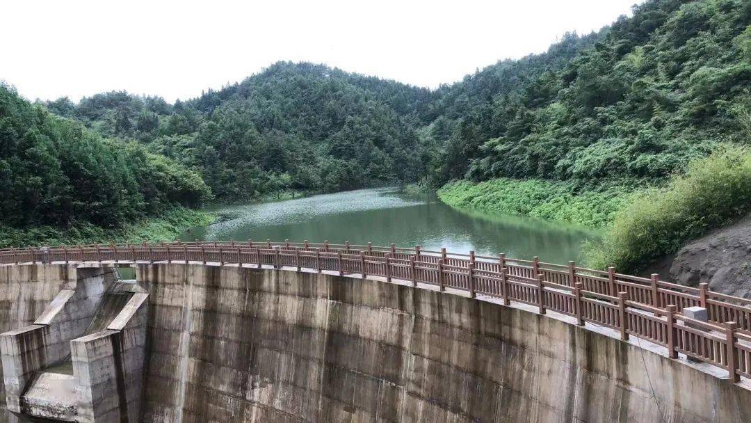 我县全力巩固拓展脱贫攻坚成果_帮扶_工作_彭水