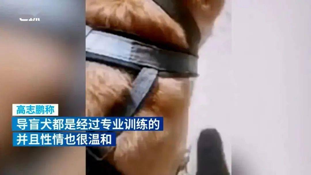 测评这女人太硬核了！拿命测评，专爆黑料，尺度真是万万没想到……