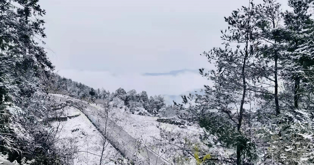 黎丁萍|巴中下雪了！