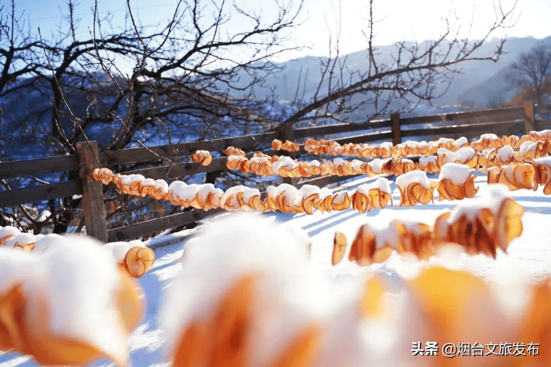 雪花|雪花里的海阳！最美赏雪点位来了！