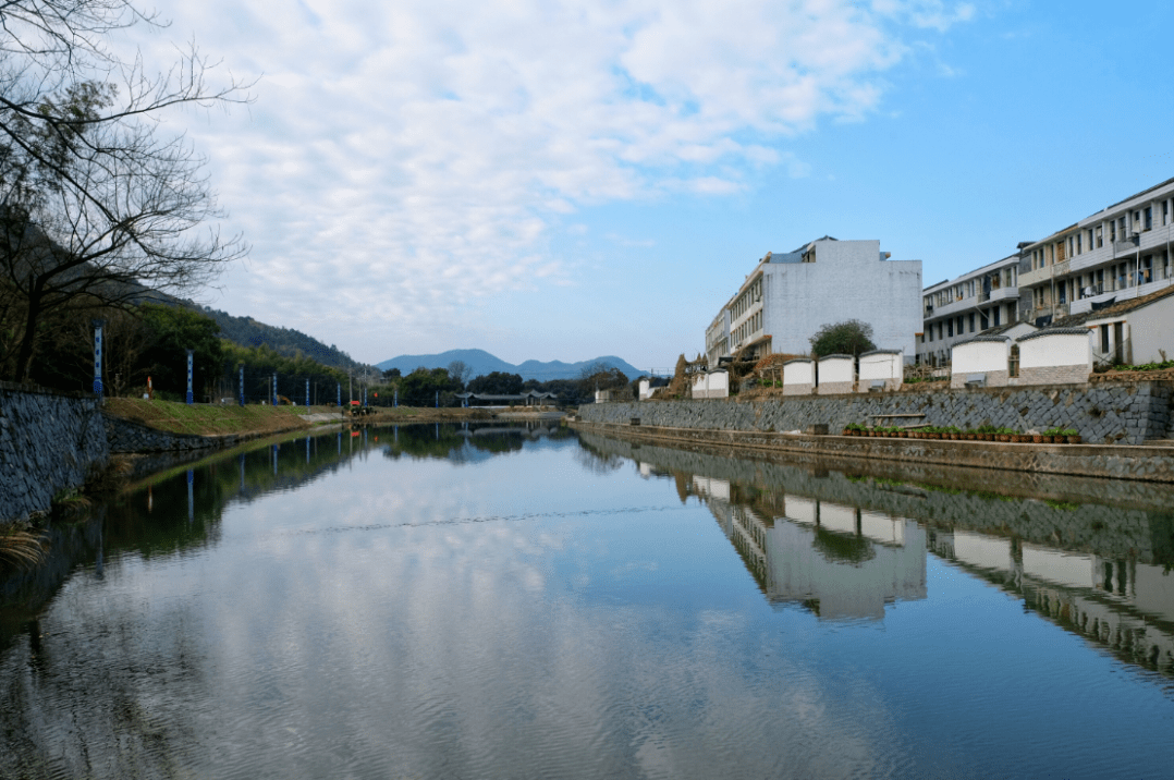 苍南这个镇大发展!变美了,也富了_南宋镇_建设_大溪