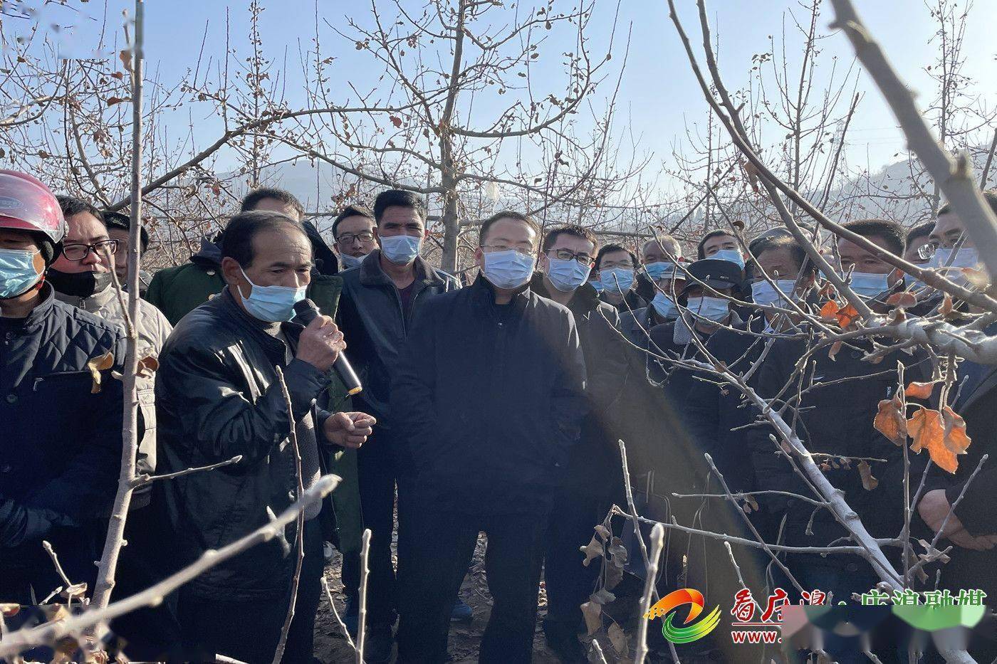 庄浪县朱店镇园区管理兴产业田间练兵强技能