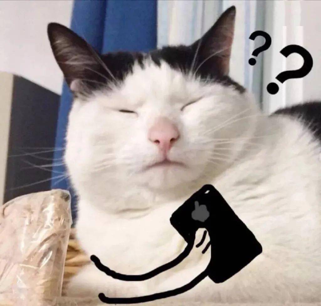 我家没猫粮了我有只仓鼠猫吃不吃