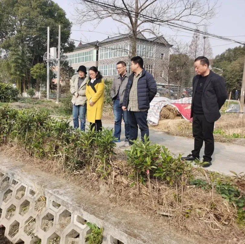 嘉兴市植土站检查指导许村稻田退水“零直排”建设生态沟渠农业 1836