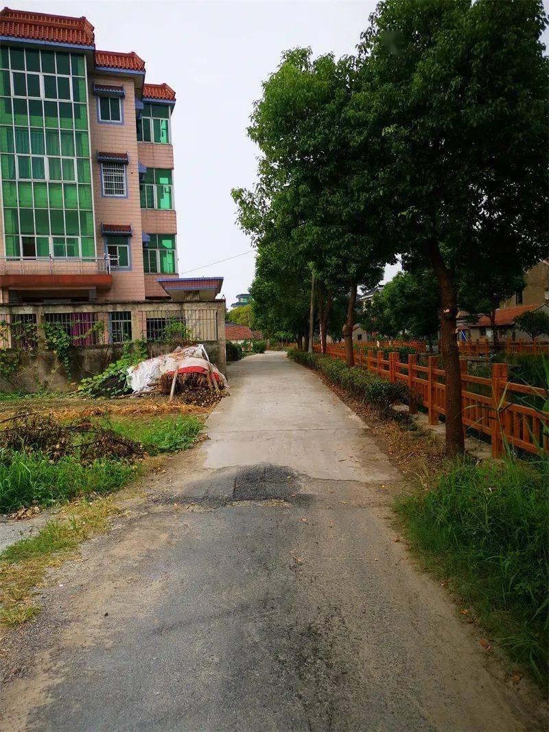 萧山200多公里道路迎来变身有你日常出行会涉及的道路吗