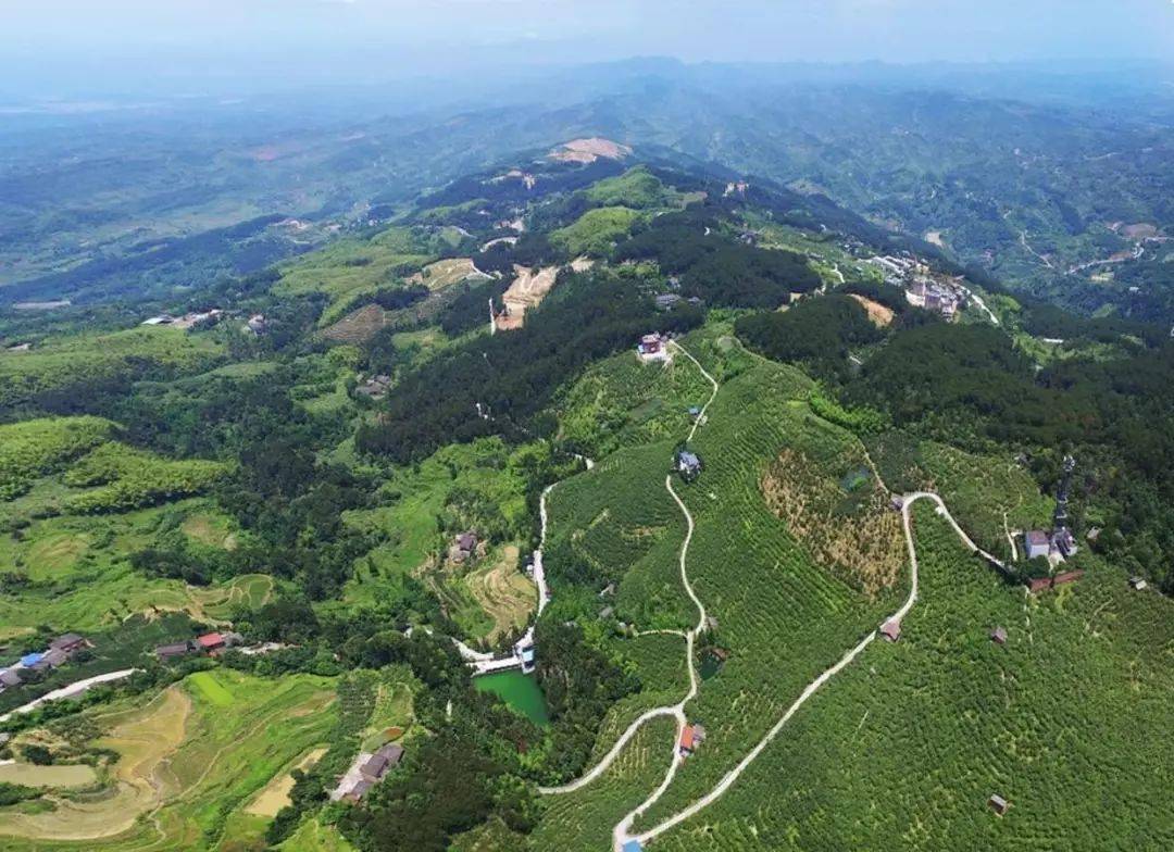 重庆这个市级示范区县名单公示长寿榜上有名