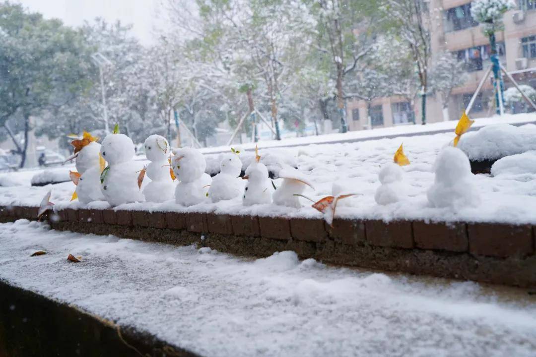 初雪|湖南高校初雪图鉴 第一次这么认真地赏雪