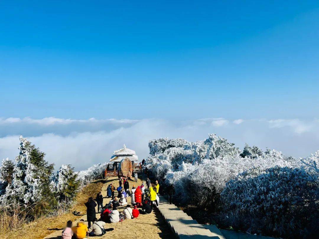 景宁敕木山赏雾凇仙境的那种