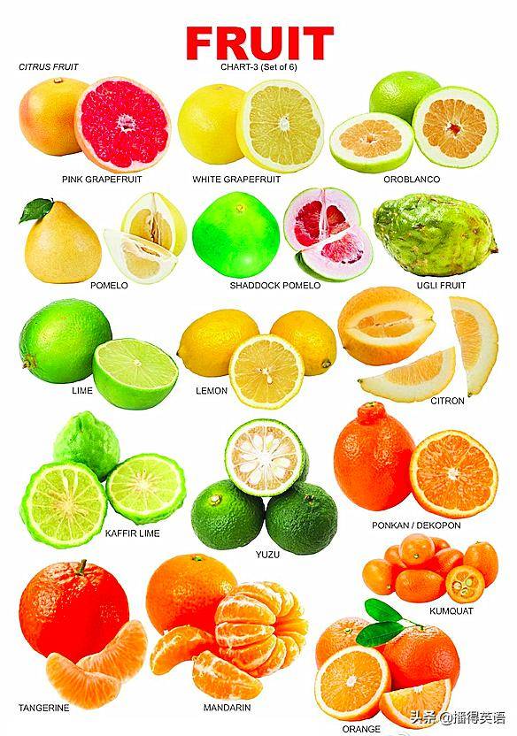 橘子汁用英语怎么说