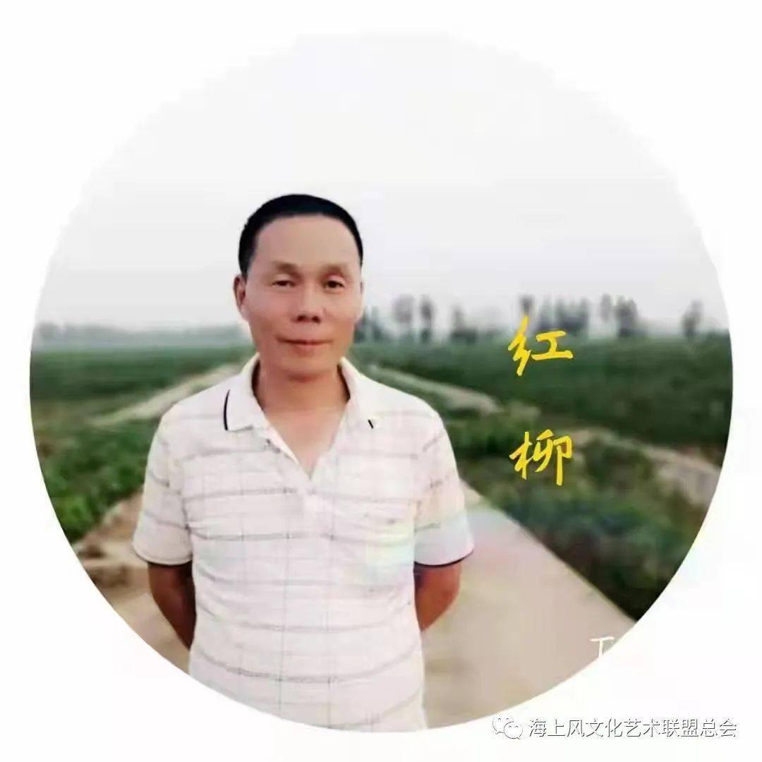 《你是人间最美的天使6767》作者:红柳67/朗读:梅花