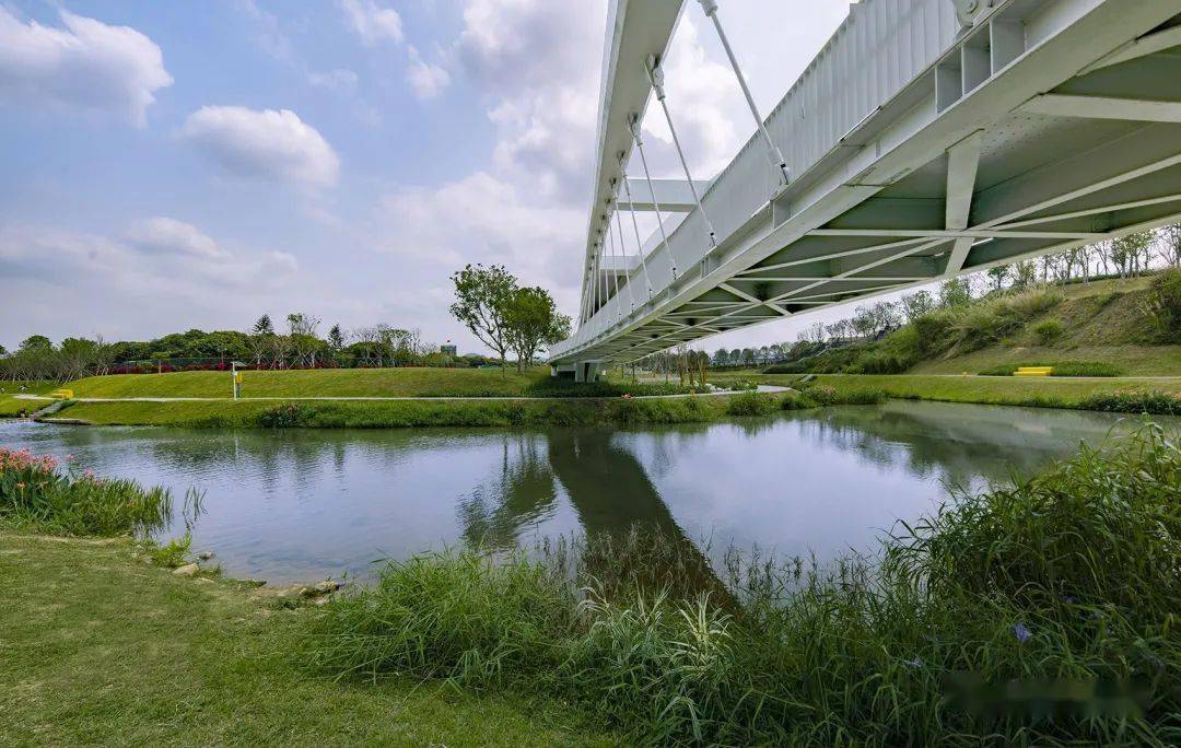 俞孔坚的海绵城市解决方案再上国际热搜