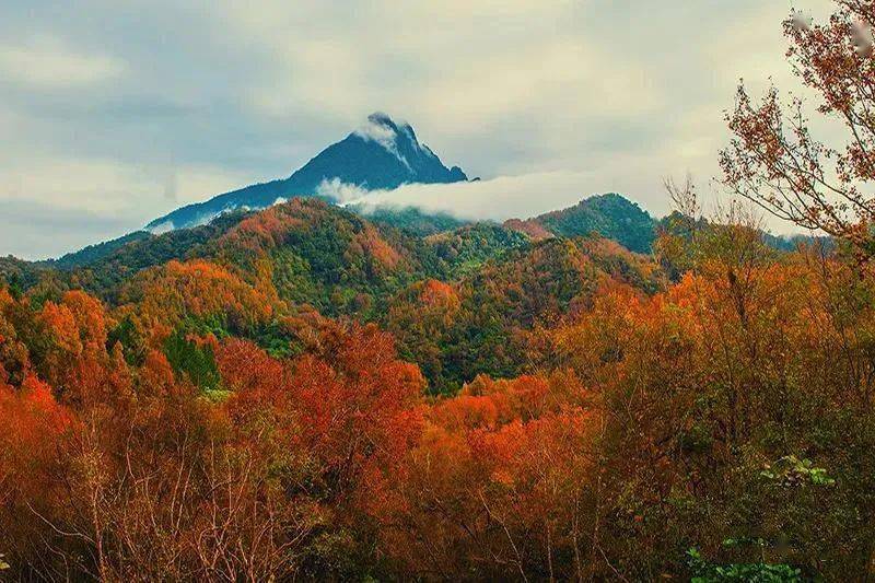 元旦就到五指山市好山好水好景色等你來約