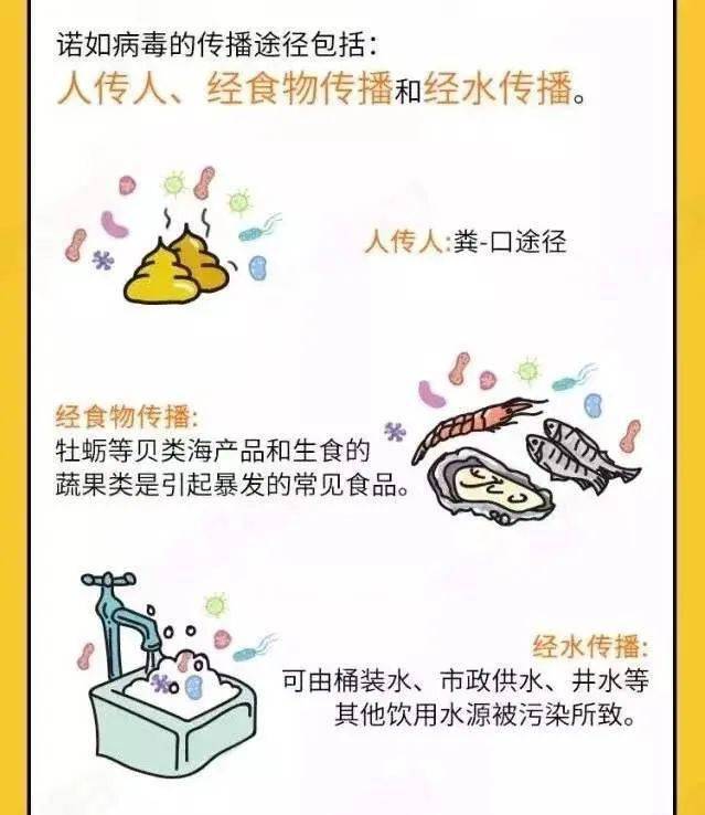 防治一起来诺如病毒说拜拜