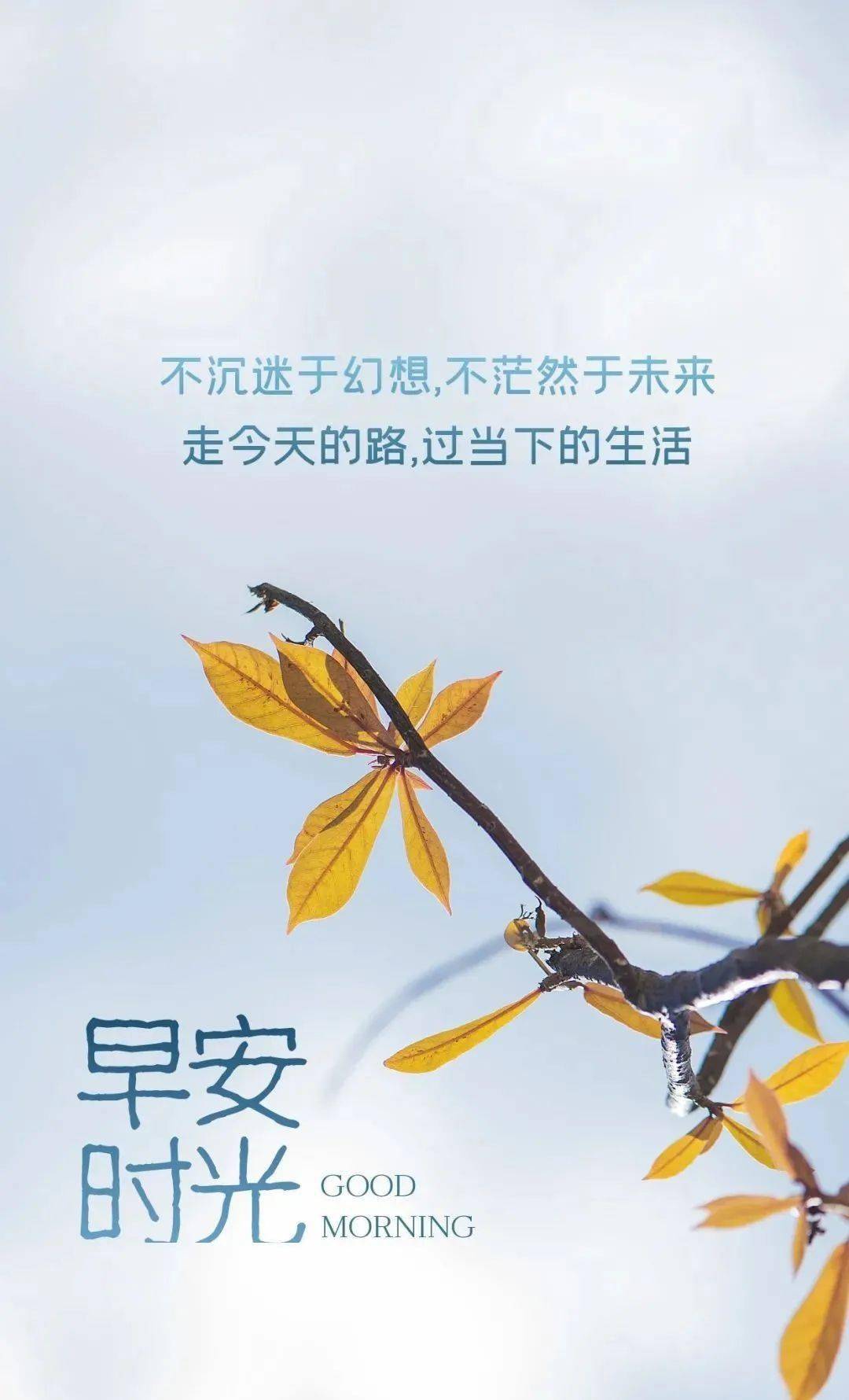 94b8f215c70e46c2924d4a1541fb94e4.jpeg