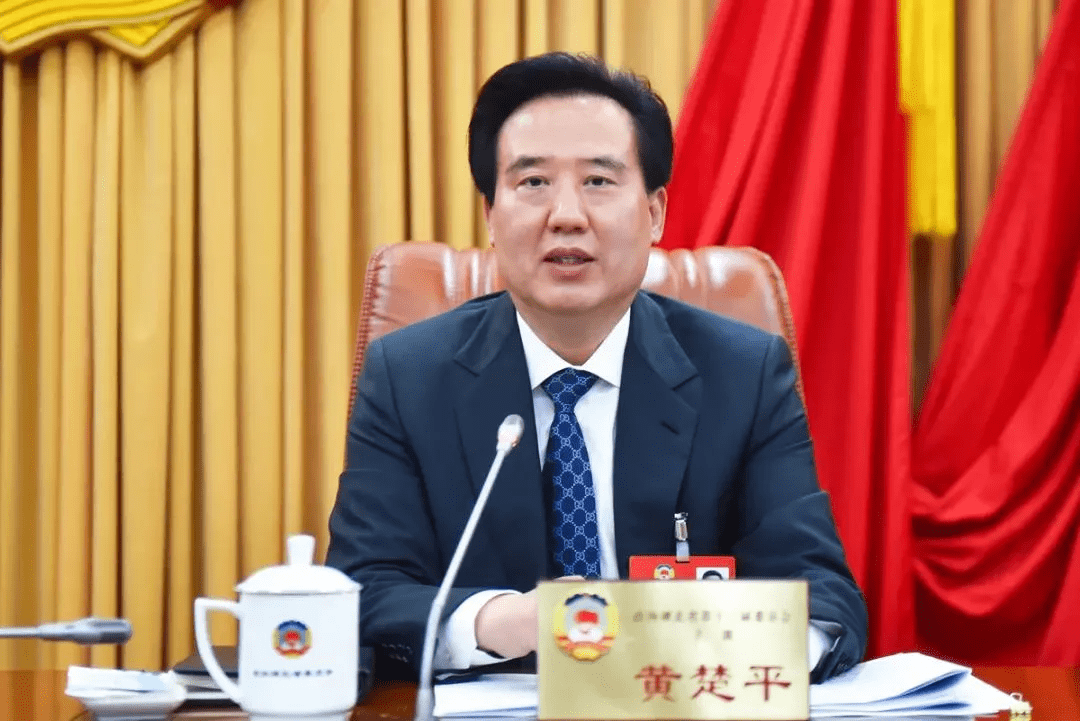 此前一直在家乡湖北工作近40年,历任武汉市江汉区委书记,咸宁市委书记