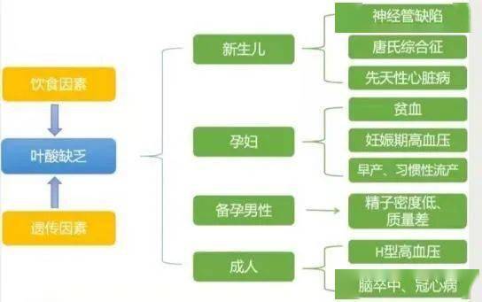 附属|这药对您有效吗？——邵阳学院附属第一医院成功开展药物基因检测，助力精准用药！