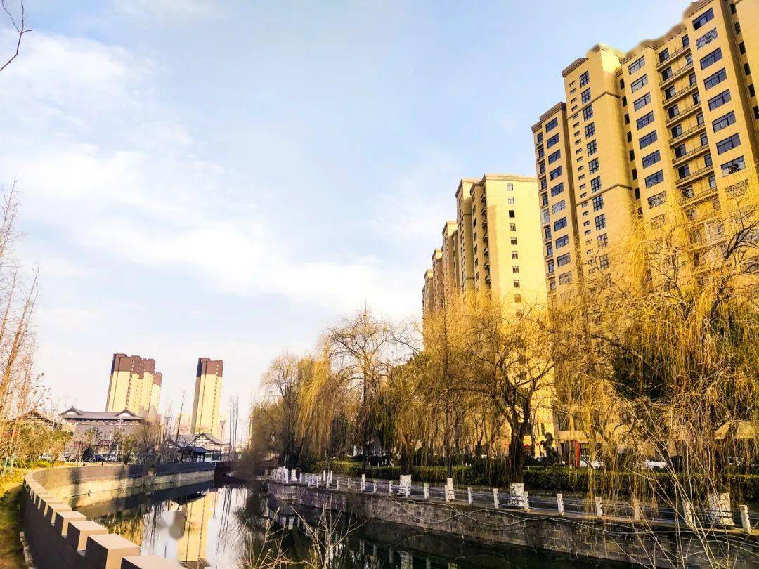 泗城 来自搜狐网