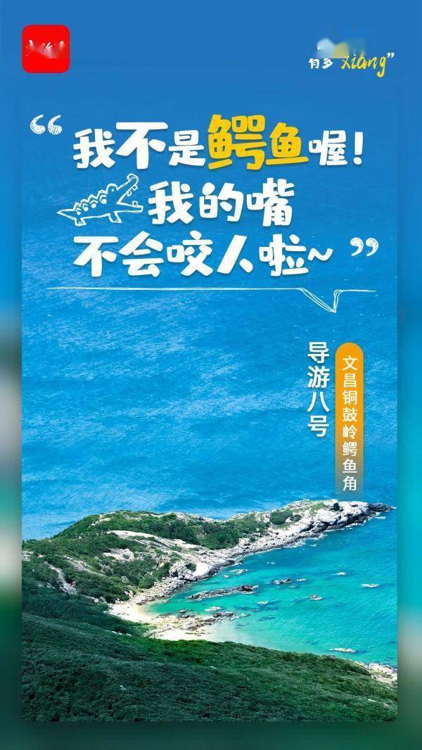 导游|海南宝藏“导游”集体出镜！元旦就要去一些可可爱爱的地方……