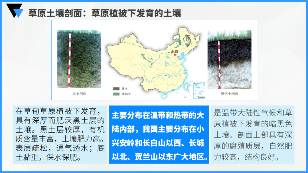 介绍土壤的垂直分层情况,并通过森林和草原的剖面图,对比两者土壤剖面