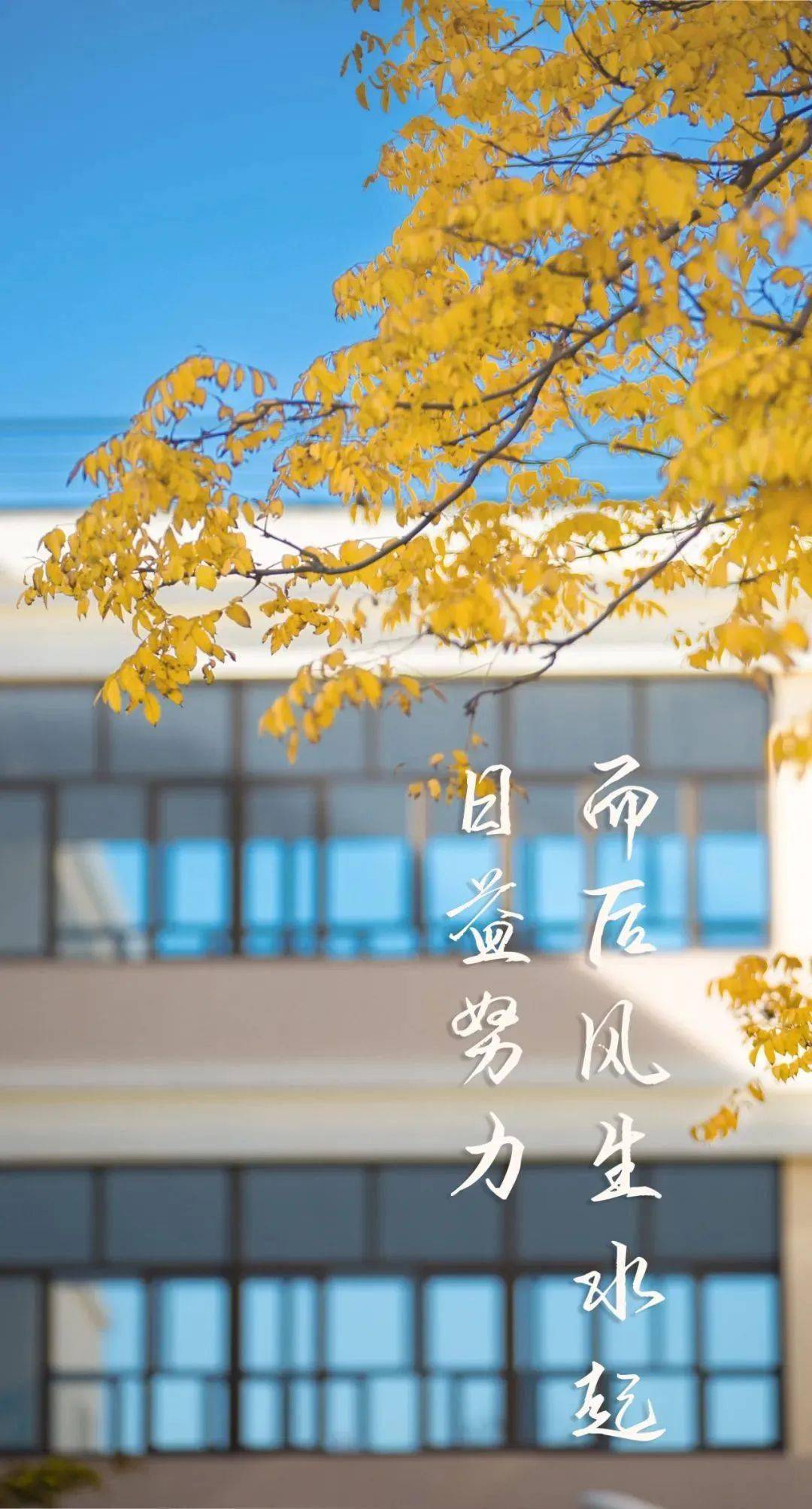 东北师范大学励志壁纸图片